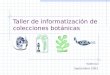Taller de informatización de colecciones botánicas Valencia Septiembre 2003