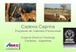 Cadena Caprina Programa de Cadenas Productivas Expone Ramiro Fresneda Córdoba - Argentina