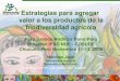 Estrategias para agregar valor a los productos de la biodiversidad agrícola Foro Granos Andinos Puno/Perú Proyecto IFAD NUS - COSUDE Chucuito,Perú Noviembre