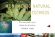 Presentado por: Marcio Aronne Martin Galo. Características bióticas Arrecifes coralino Praderas de Pastos marinos Bosques de mangle Praderas de corales