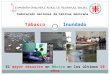 Federación nacional de Cáritas mexicana Tabasco Inundado El mayor desastre en México en los últimos 50 años