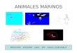 ANIMALES MARINOS PEPETOÑO EMILIANO GAEL EMI DIEGO JUAN PABLO
