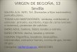 VIRGEN DE BEGOÑA, 13 Sevilla SALON: A/A, WIFI, Tel. (llamadas a fijos nacionales), pantalla plana. TODAS LAS HABITACIONES: ventana, colchones a estrenar,