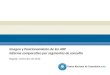 Imagen y Posicionamiento de las ARP Informe comparativo por segmentos de consulta Bogotá, noviembre de 2010
