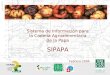 Sistema de Información para la Cadena Agroalimentaria de la Papa SIPAPA Febrero 2004