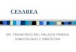 CESAREA DR. FRANCISCO DEL PALACIO PINEDA. GINECOLOGO Y OBSTETRA