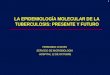 1 FERNANDO CHAVES SERVICIO DE MICROBIOLOGÍA HOSPITAL 12 DE OCTUBRE LA EPIDEMIOLOGÍA MOLECULAR DE LA TUBERCULOSIS: PRESENTE Y FUTURO