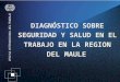DIAGNÓSTICO SOBRE SEGURIDAD Y SALUD EN EL TRABAJO EN LA REGION DEL MAULE