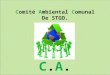 Comité Ambiental Comunal De STGO. C.A.C.C.A.C.. MISIÓN Contribuir al fortalecimiento de los espacios de integración y participación ciudadana para la