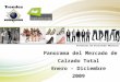 Trendex Mexico M-Q409-OVV-01p 1 Panorama del Mercado de Calzado Total Enero - Diciembre 2009