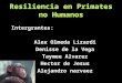 Resiliencia en Primates no Humanos Intergrantes: Alex Olmeda Lizardi Denisse de la Vega Taymee Alvarez Hector de Jesus Alejandro narvaez