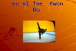 Flexibilidad en el Tae Kwon Do. Introducción Tae Kwon Do arte marcial koreano que usa entrenamiento mental, espiritual y fisico con el propósito de adquirir