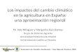 Los impactos del cambio climático en la agricultura en España: una aproximación regional M. Inés Mínguez y Margarita Ruiz-Ramos Grupo de Sistemas Agrarios