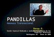 PANDILLAS Amenaza Transnacional Oscar E. Bonilla Sesión Especial Dedicada a analizar el Fenómeno de las Pandillas Delictivas Washington, DC Enero de 2008