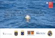 José Beyá M. Ingeniería Civil Oceánica – Universidad de Valparaíso Proyecto Innova Corfo código 09CN14-5718 Catastro del recurso energético asociado a