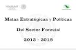 M etas E stratégicas y P olíticas D el S ector F orestal 2013 - 2018