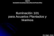 Iluminación 101 para Acuarios Plantados y Marinos AMEPR Asociación Acuaristas Metro-Este de Puerto Rico Por: Jorge L. Morán