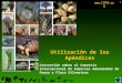1 Convención sobre el Comercio Internacional de Especies Amenazadas de Fauna y Flora Silvestres Utilización de los Apéndices 1  © Derechos