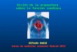 Acción de la acupuntura sobre la función cardiaca Alfredo Embid Curso de medicina oriental Madrid 2013
