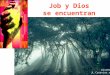 Job y Dios se encuentran Diseño: JL Caravias sj. El Dios alejado e incomprensible acepta el desafío de Job… Se le presenta en medio de la tormenta. Le