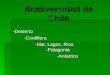 Biodiversidad de Chile -Desierto-Cordillera -Mar, Lagos, Ríos -Patagonia -Antártica