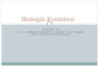 UNIDAD II: 2.3 – EVOLUCIÓN DE LA VIDA A LO LARGO DEL TIEMPO GEOLÓGICO Biología Evolutiva