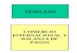 TEMA XXII COMERCIO INTERNACIONAL Y BALANZA DE PAGOS