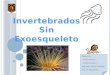 Integrantes: ~ Ivanna Pasten P. ~ Evelyn Carvajal C. Asignatura: Electivo Biología Prof.: Mª Soledad Ríos