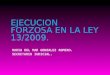 EJECUCION FORZOSA EN LA LEY 13/2009. Guía practica de ejecución forzosa
