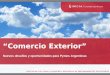 Comercio Exterior Nuevos desafíos y oportunidades para Pymes Argentinas