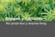 Drogas y Cárteles Por Jonah Kan y Andrew Feng. Palabras Nuevas (A) Cognatos: metanfetamina - una droga heroína - una droga marijuana - una droga coca(ína)