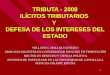 1 TRIBUTA - 2008 ILÍCITOS TRIBUTARIOS Y DEFESA DE LOS INTERESES DEL ESTADO WILLIAM G. MALLQUI QUIJANO ABOGADO-MAGISTER EN CONTABILIDAD MENCIÓN EN TRIBUTACIÓN