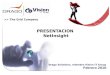 >> The Grid Company PRESENTACION NetInsight Drago Solutions, miembro Vision IT Group Febrero 2010
