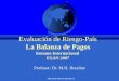 MH BOUCHET/CERAM (c) Evaluación de Riesgo-País La Balanza de Pagos Semana Internacional ESAN 2007 Profesor: Dr. M.H. Bouchet