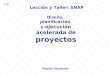Lección y Taller: SNAP Diseño, planificación y ejecución acelerada de proyectos Fabián Szulanski