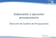 Elaboración y ejecución presupuestaria Dirección de Gestión de Presupuestos Directora: Licda.Adriana Espinoza