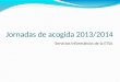 Jornadas de acogida 2013/2014 Servicios Informáticos de la ETSA