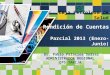 LOGO Rendición de Cuentas Parcial 2013 (Enero-Junio)