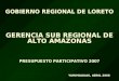 GOBIERNO REGIONAL DE LORETO GERENCIA SUB REGIONAL DE ALTO AMAZONAS PRESUPUESTO PARTICIPATIVO 2007 YURIMAGUAS, ABRIL 2006