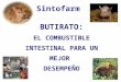 Sintofarm Feed Ingredients BUTIRATO: EL COMBUSTIBLE INTESTINAL PARA UN MEJOR DESEMPEÑO