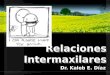 Relaciones Intermaxilares Dr. Kaleb E. Díaz. Relaciones Intermaxilares Verticales –Oclusión –Descanso –Dimensión Vertical Horizontales –Relación céntrica