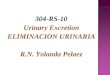 304-RS-10 Urinary Excretion ELIMINACION URINARIA R.N. Yolanda Pelaez