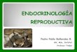 Endocrinologia Reproductiva