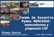 Fondo de Garantía Pymes MERCOSUR: antecedentes y propuesta CAF Álvaro García Director Representante CAF para Argentina 11 de abril de 2012