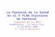 La Pastoral de la Salud en el V PLAN Diocesano de Pastoral Formación de los MESC Guadalajara - La Santa Cruz 21 de Marzo 2009 P. Silvio Marinelli