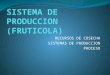 Sistema de Produccion Fruticola