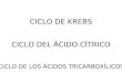 CICLO DE KREBS CICLO DEL ÁCIDO CÍTRICO CICLO DE LOS ÁCIDOS TRICARBOXÍLICOS