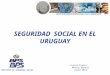 SEGURIDAD SOCIAL EN EL URUGUAY Silvia Pierri - Matías Biurra Junio 2014 INSTITUTO DE SEGURIDAD SOCIAL