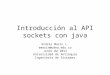 Introducción al API sockets con java Andrés Marín L. amarin@udea.edu.co Junio de 2011 Universidad de Antioquia Ingeniería de Sistemas