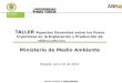 TALLER Aspectos Generales sobre los Pozos Inyectores en la Exploración y Producción de Hidrocarburos Ministerio de Medio Ambiente Bogotá, Junio 10 de 2014